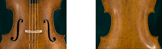 Violoncello from Joseph Haydns 