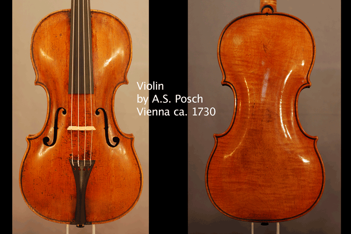 Anton Stefan Posch, Wien